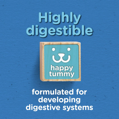 (3 Pack)  Puppy Chow Dry Dog Food, High Protein Tender & Crunchy Real Beef Formula, 15 Lb Bag