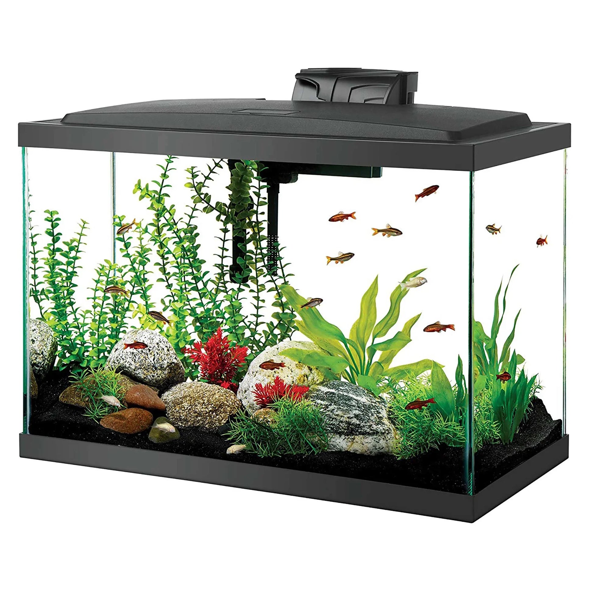 Aquarium Fish Tank Starter Kit with LED Lighting 20-Gal