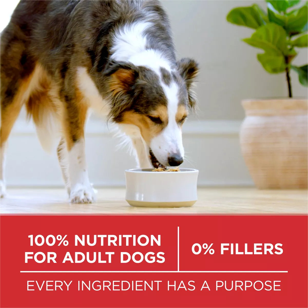 Purina ONE Smartblend Natural Dry Dog Food with Chicken & Rice