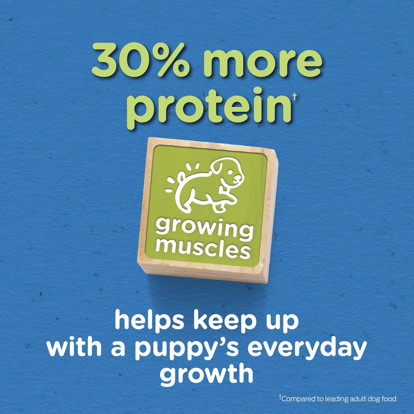 (3 Pack)  Puppy Chow Dry Dog Food, High Protein Tender & Crunchy Real Beef Formula, 15 Lb Bag