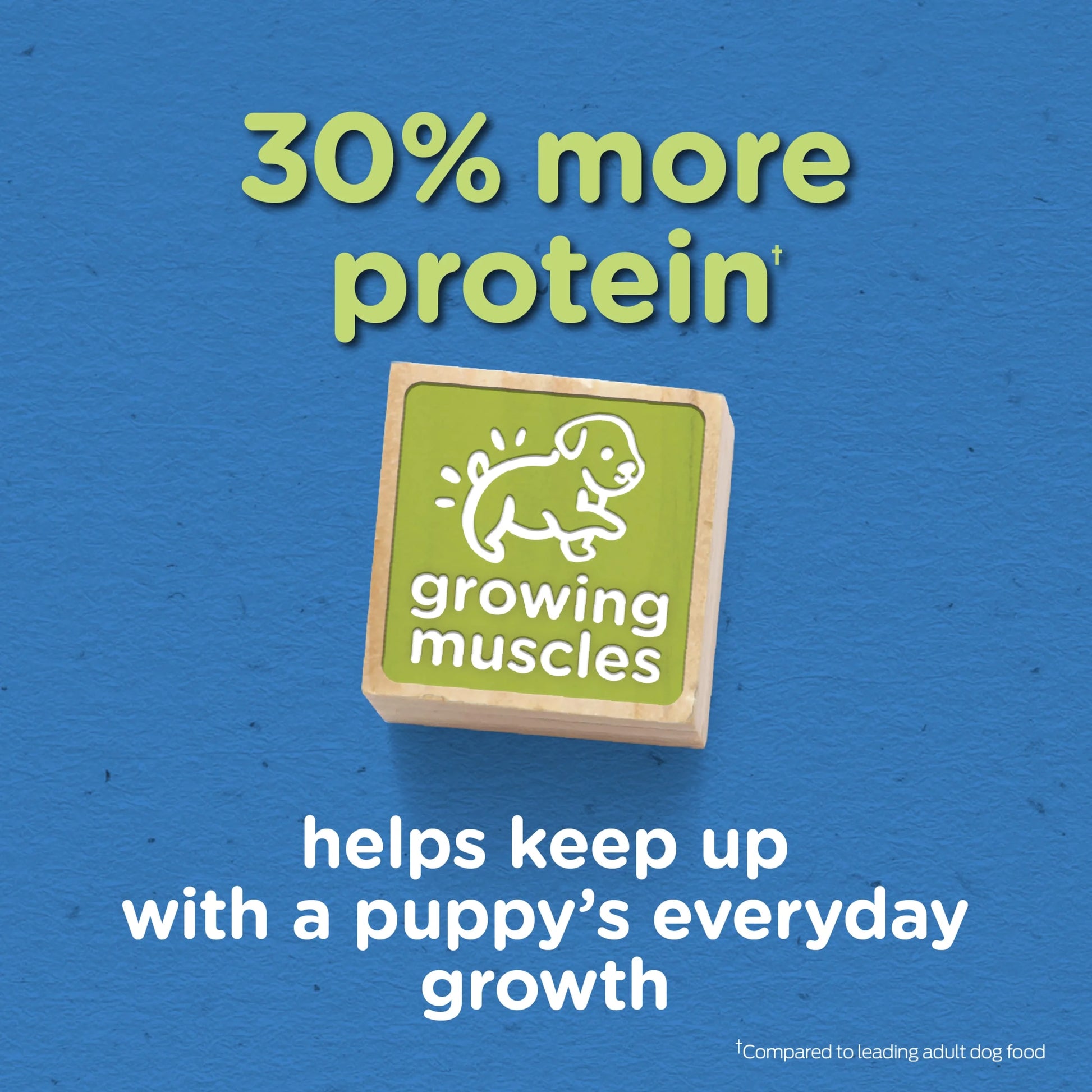 (3 Pack)  Puppy Chow Dry Dog Food, High Protein Tender & Crunchy Real Beef Formula, 15 Lb Bag