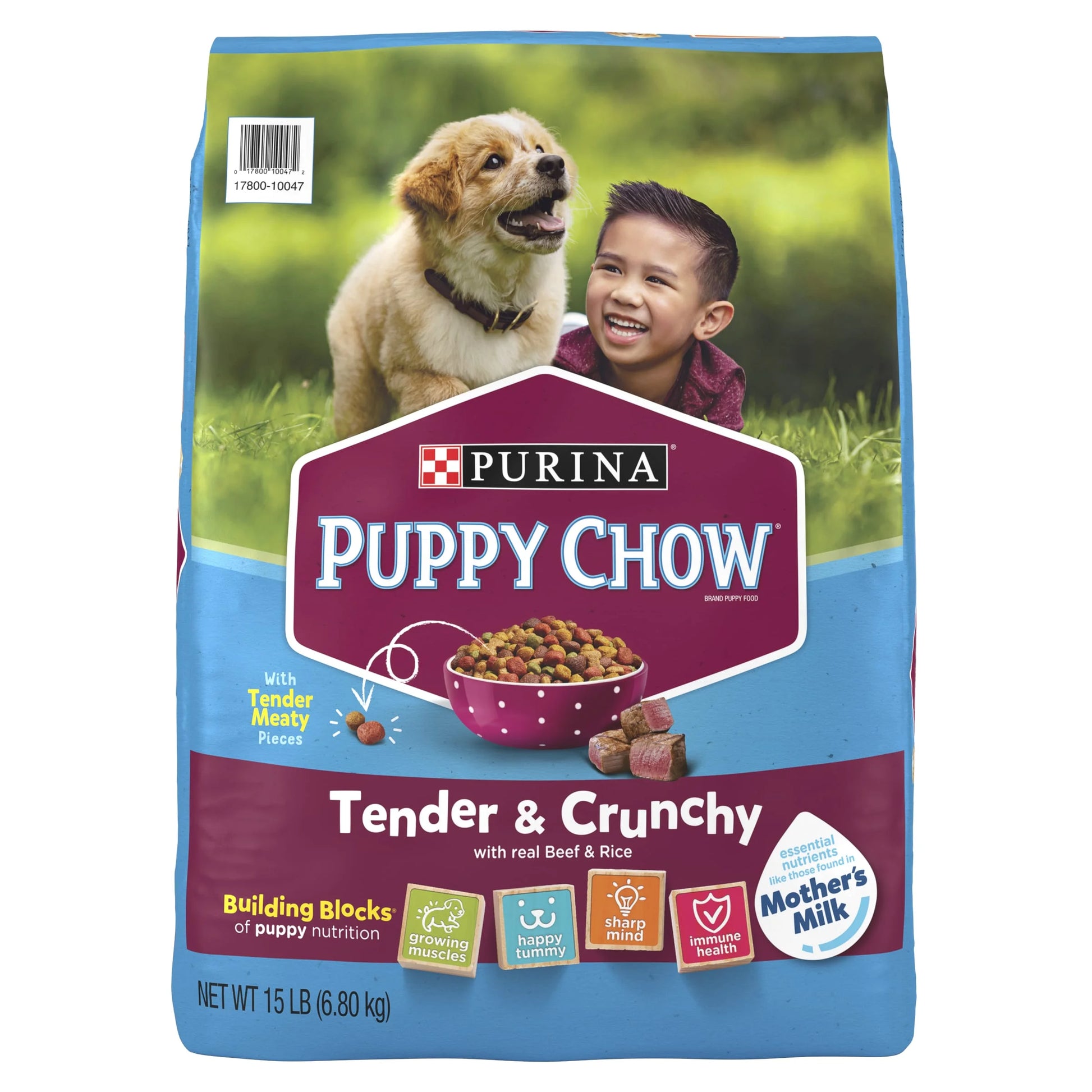 (3 Pack)  Puppy Chow Dry Dog Food, High Protein Tender & Crunchy Real Beef Formula, 15 Lb Bag